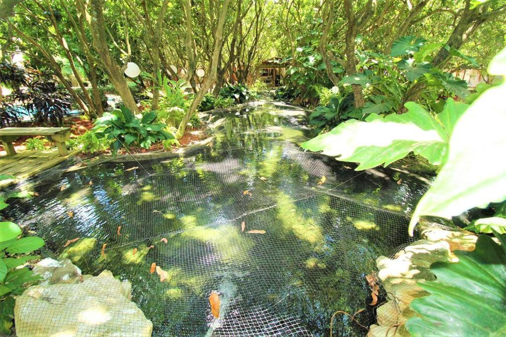 הוילה מיאמי Magical Wonderkoi House In A Japanese Koi Garden מראה חיצוני תמונה